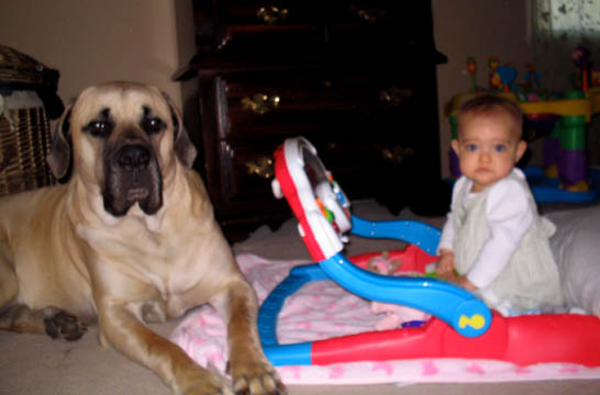 1-1/2 years old, pictured with 
Natalie at 8-9 months old